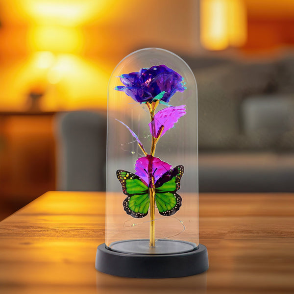 Star Petal Dome Decor